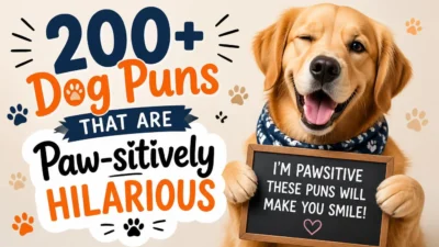 200+ Dog Puns That Are Paw-sitively Hilarious 🐶